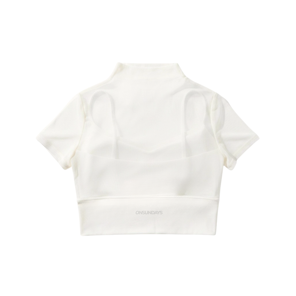 Net Mesh Crop Top