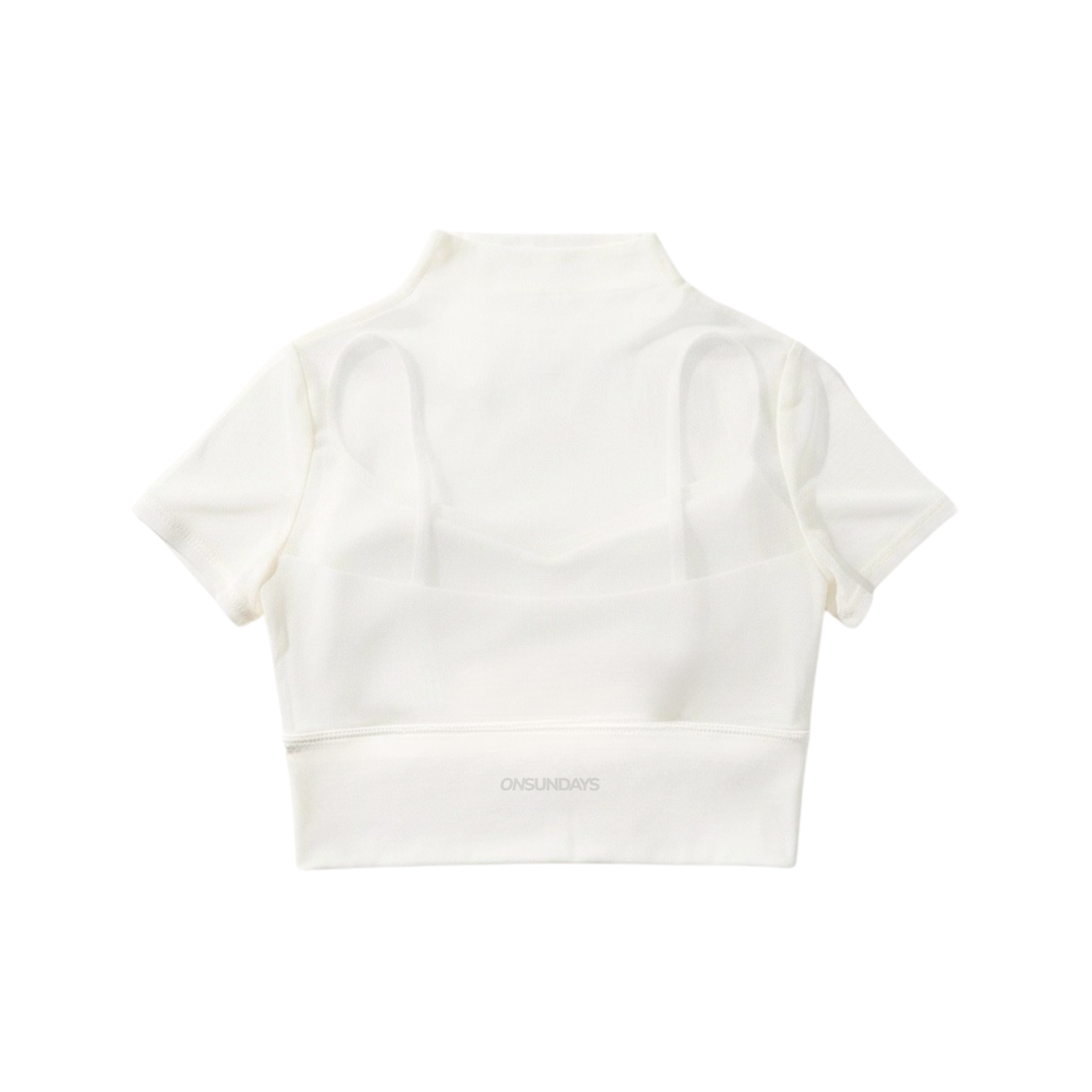 Net Mesh Crop Top