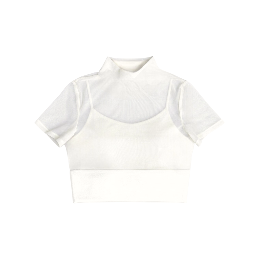 Net Mesh Crop Top