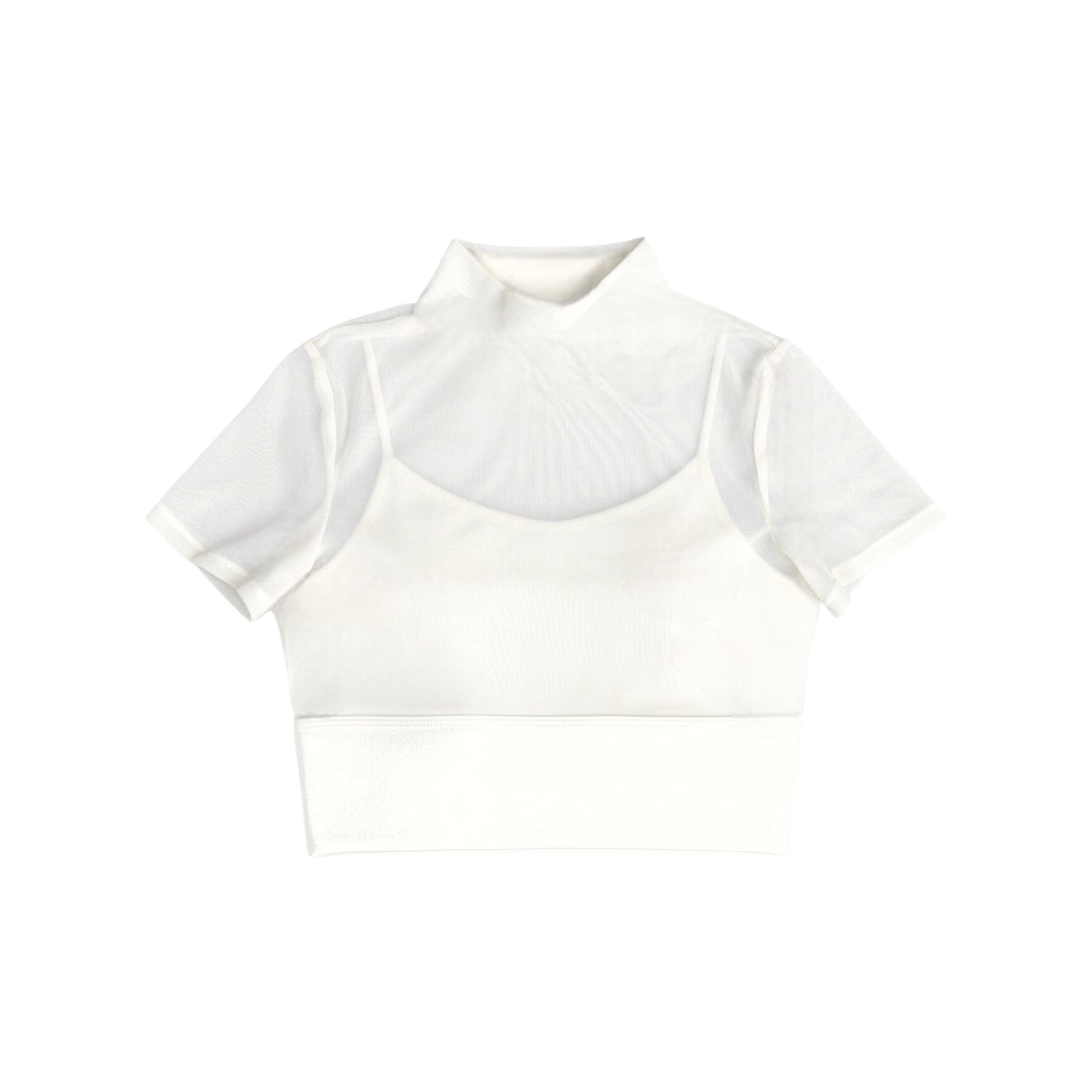 Net Mesh Crop Top
